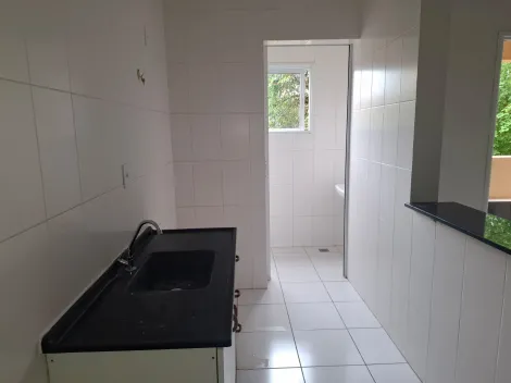 imagem 4 - APARTAMENTO JARDIM CARVALHO imagem 4 - APARTAMENTO JARDIM CARVALHO