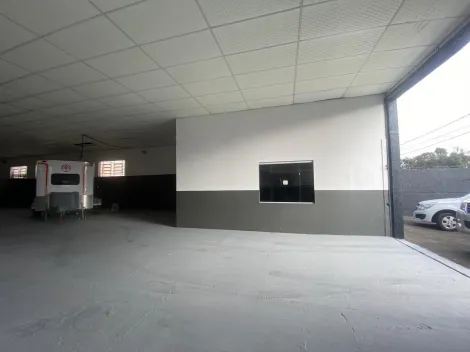 imagem 5 - Ótimo Barracão em Localização Privilegiada no Bairro Órfãs! imagem 5 - Ótimo Barracão em Localização Privilegiada no Bairro Órfãs!