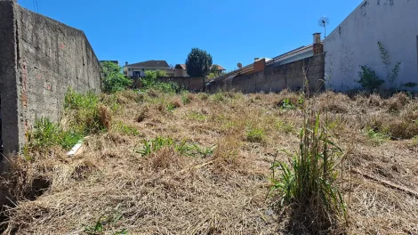 imagem 2 - Terreno próximo ao Lago de Olarias imagem 2 - Terreno próximo ao Lago de Olarias