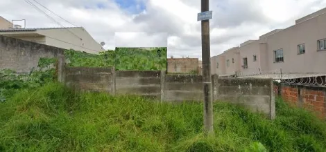 imagem 1 - Terreno com 14 metros de frente no Órfãs! imagem 1 - Terreno com 14 metros de frente no Órfãs!