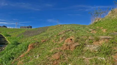 imagem 2 - Comercial - Terreno imagem 2 - Comercial - Terreno