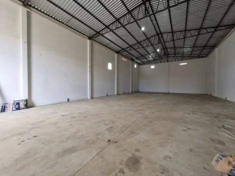 imagem 5 - Barracão na Vila Isabel imagem 5 - Barracão na Vila Isabel