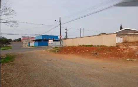 imagem 2 - Terreno para Locação Boa Vista imagem 2 - Terreno para Locação Boa Vista