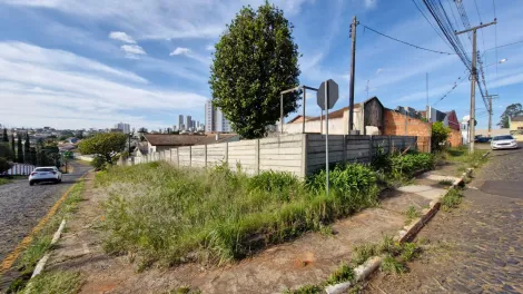 imagem 3 - Terreno Murado para Locação na Colônia Dona Luiza imagem 3 - Terreno Murado para Locação na Colônia Dona Luiza