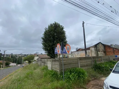 imagem 1 - Terreno Murado para Locação na Colônia Dona Luiza imagem 1 - Terreno Murado para Locação na Colônia Dona Luiza