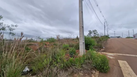 imagem 3 - Terreno Cara Cara imagem 3 - Terreno Cara Cara